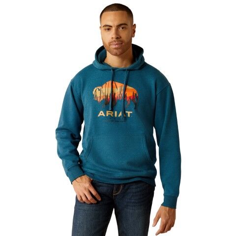 Ariat Men's Bison Plains Hoodie in Hydra Heather