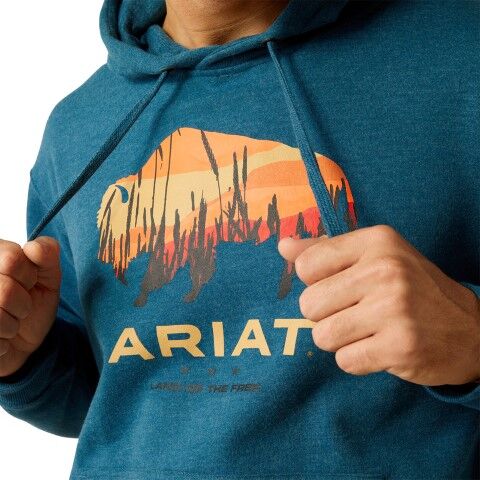 Ariat Men's Bison Plains Hoodie in Hydra Heather