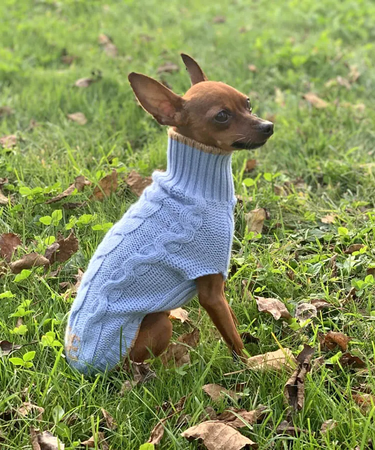 Personalized dog sweater