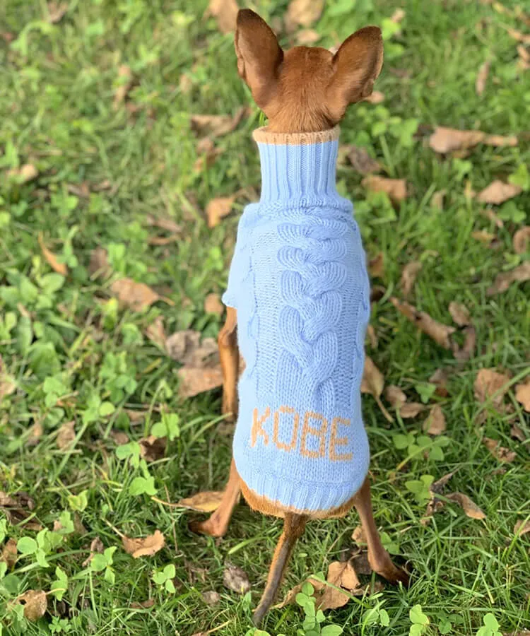 Personalized dog sweater