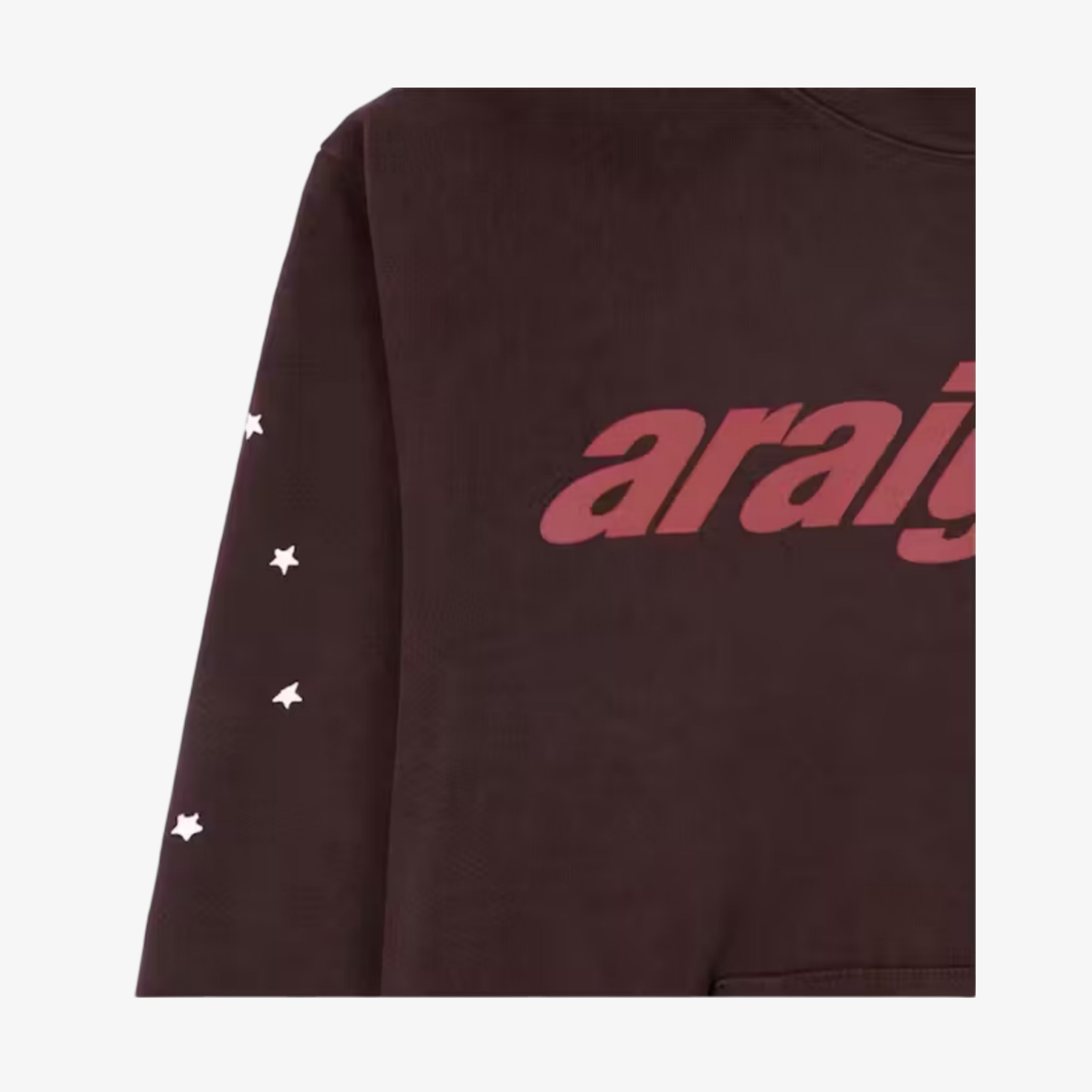 Sp5der 'Araignee' Pullover Hoodie Brown FW22