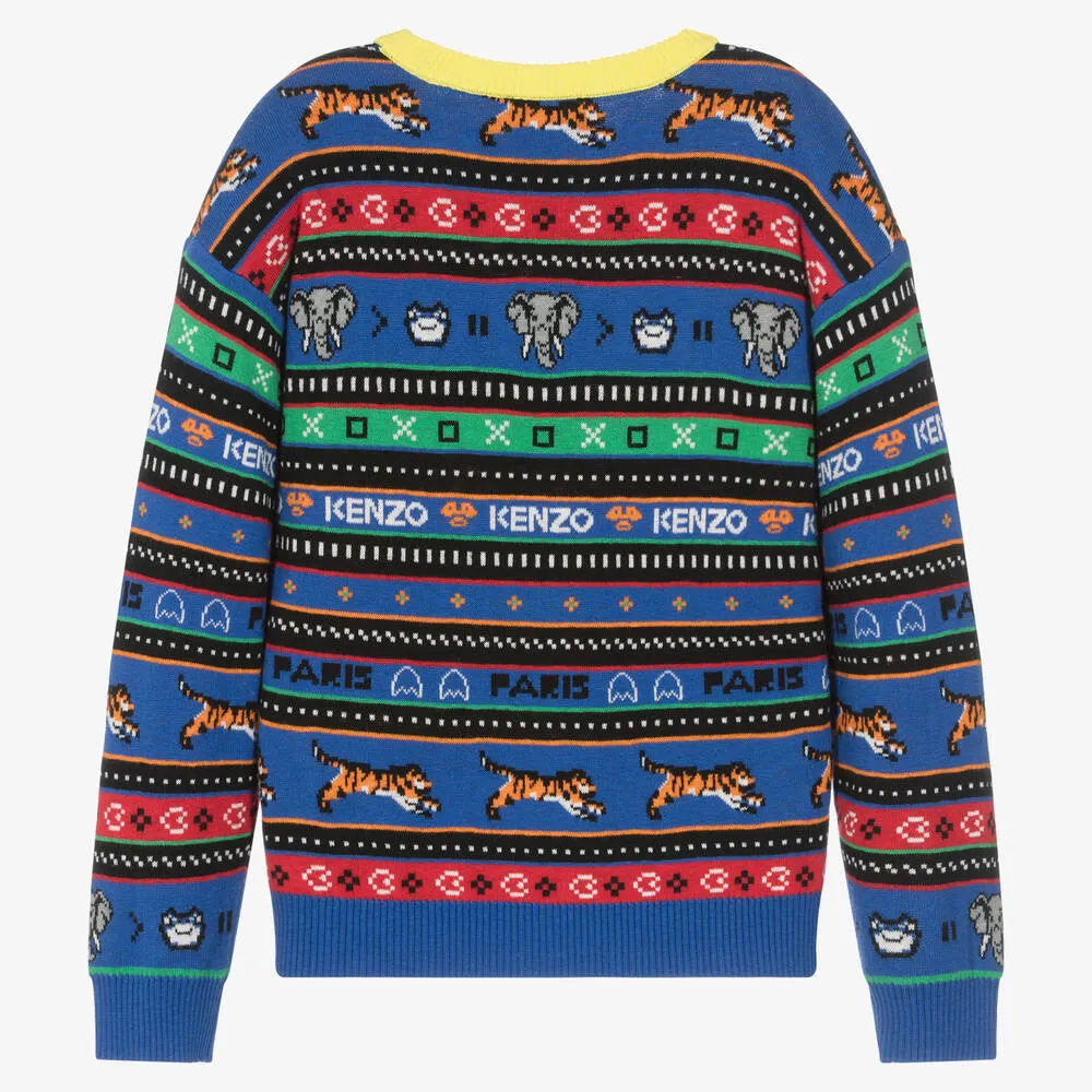 Teen Boys Multicolour Knit Sweater